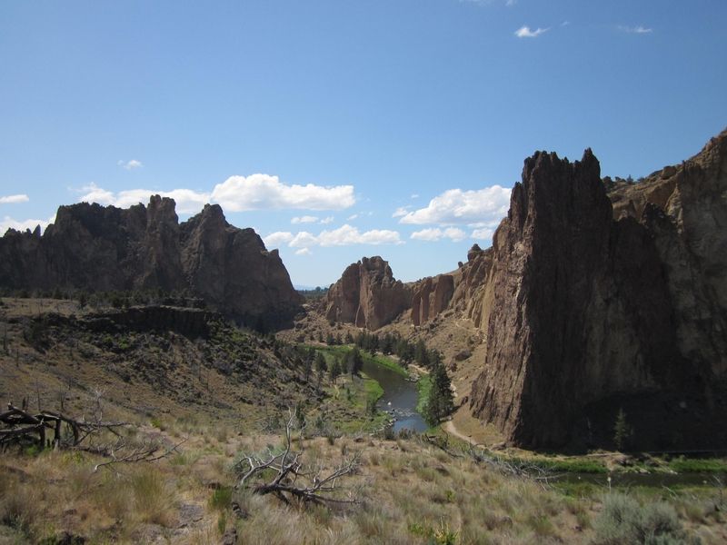 Bridge Overlook