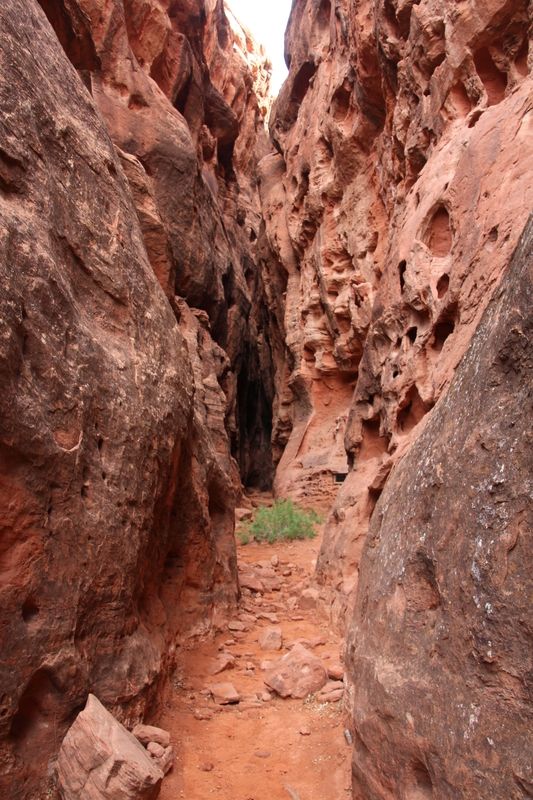 Jenny's Canyon Trail