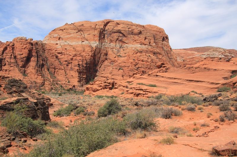 Hidden Pinyon Trail