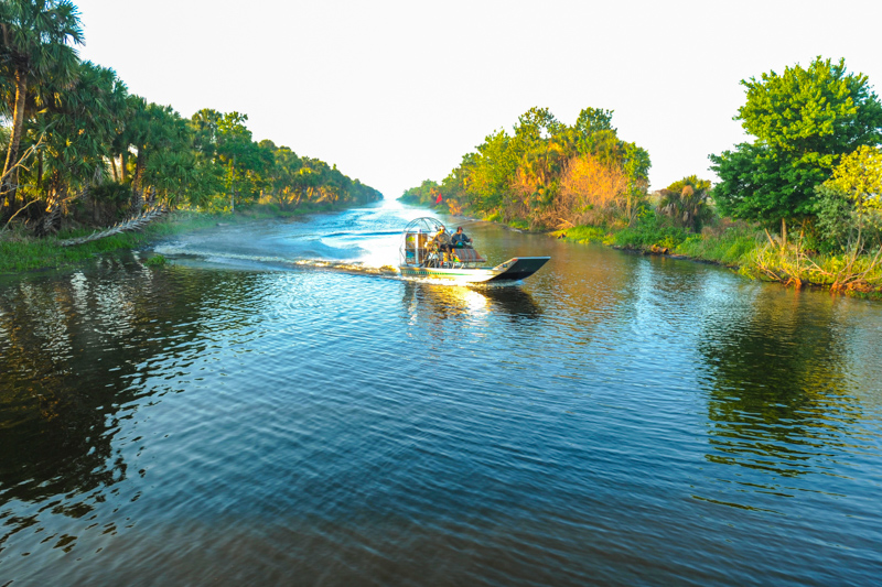 Swamp Tour en airboat