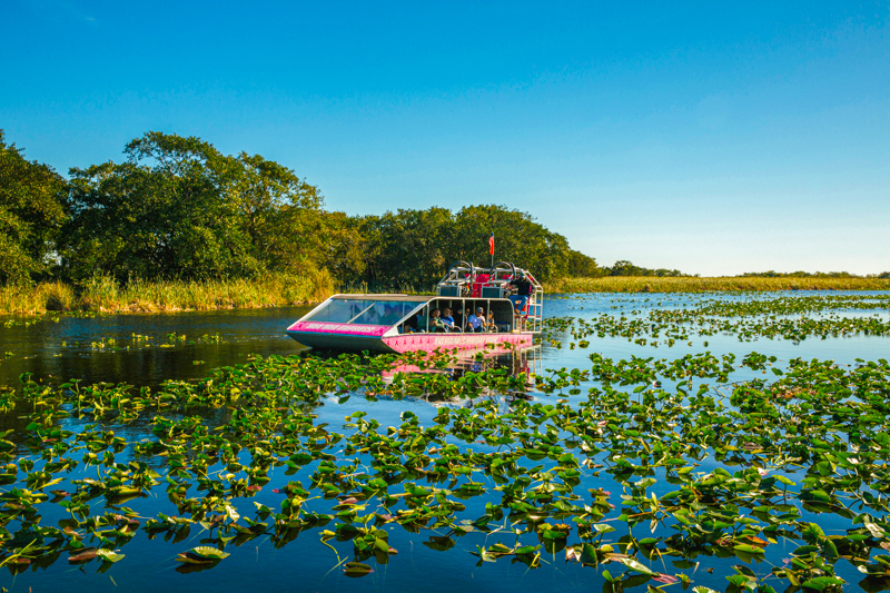 Swamp Tour aux USA