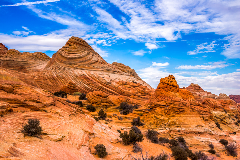 Coyote Buttes North Trail