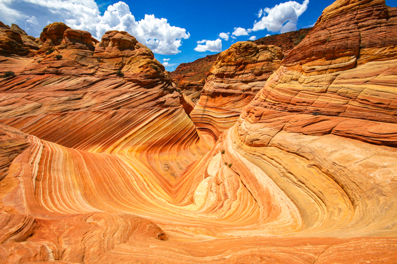 The Wave Le Joyau De L Arizona Visite Permis Acc s Spots