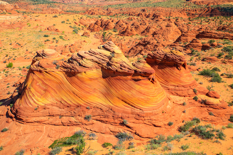 Ginger Rock
