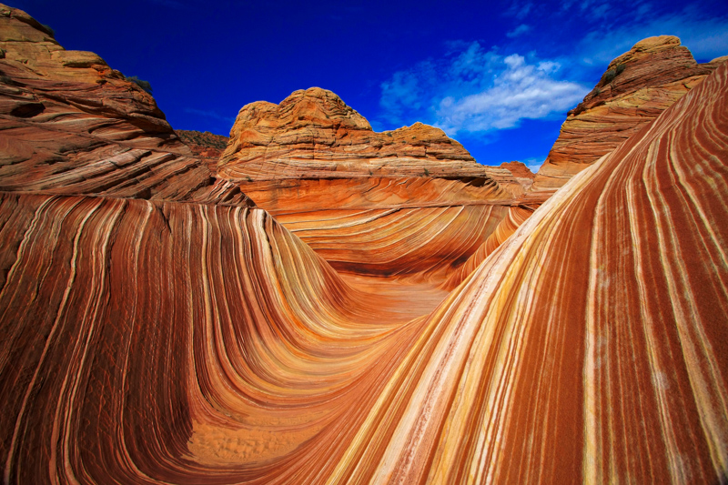 The Wave