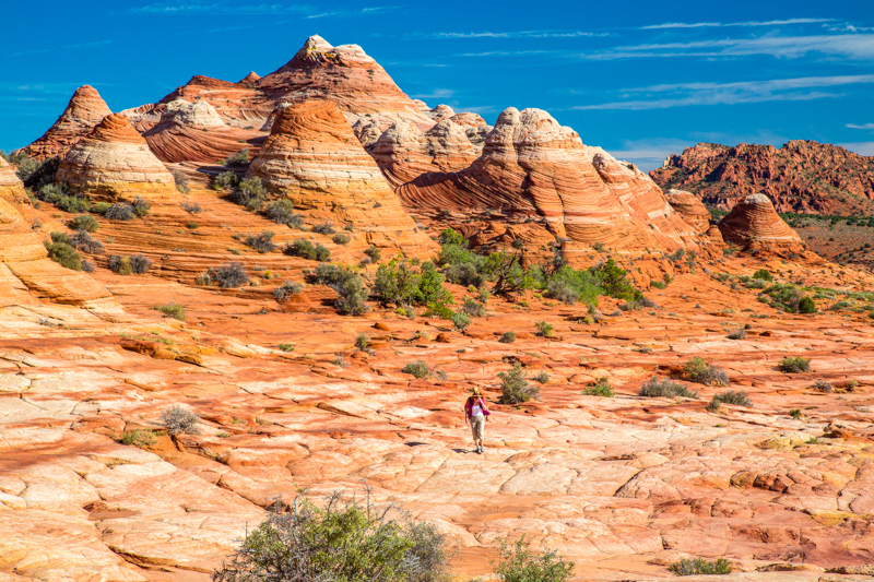 Coyote Buttes North Trail