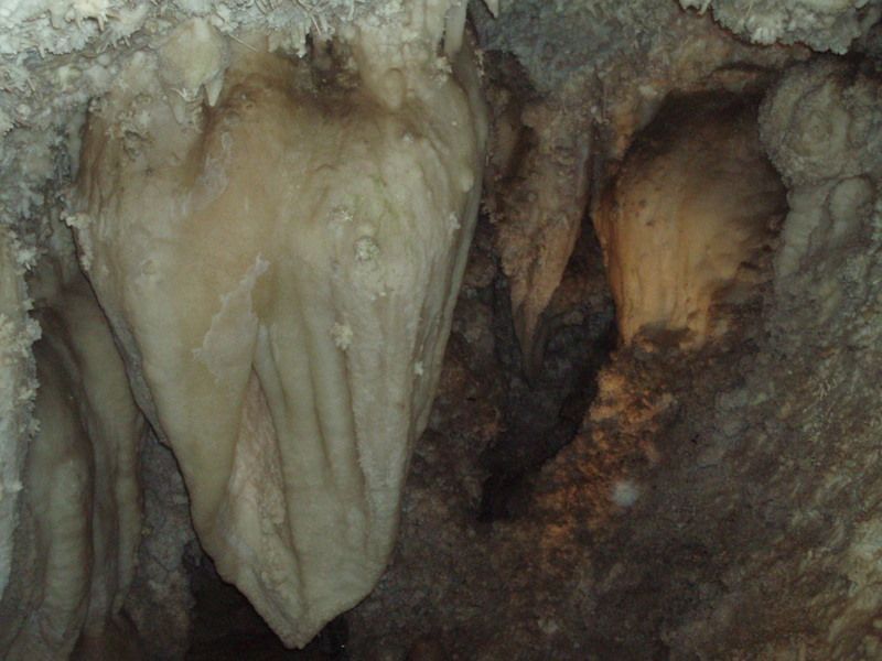 Timpanogos Cave
