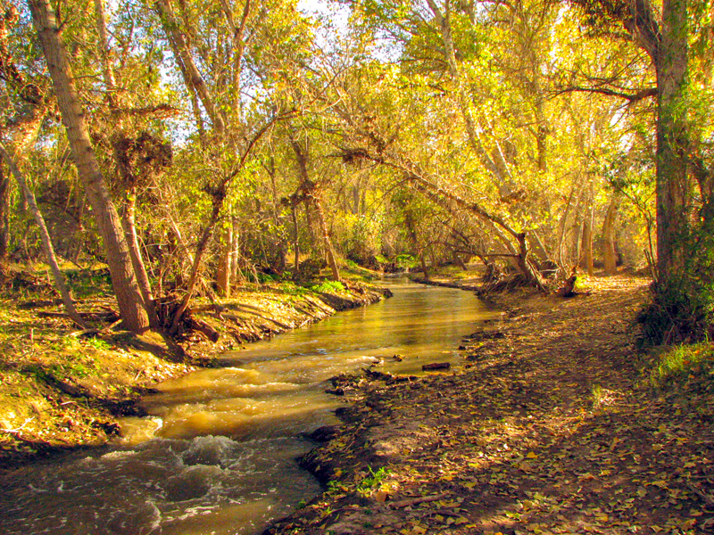 Santa Cruz River & Anza Trail