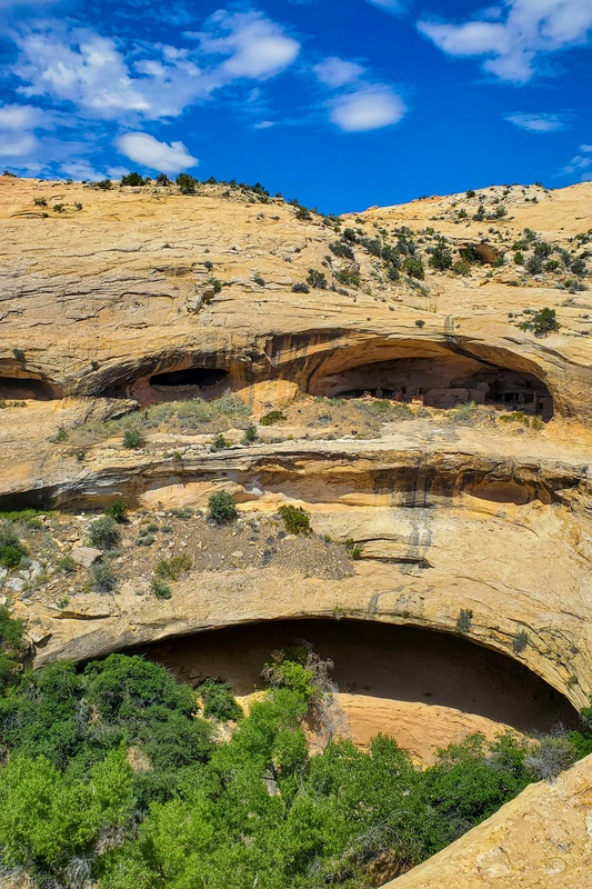 Butler Wash Ruins