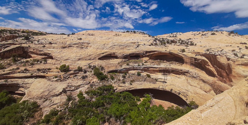 Butler Wash Ruins