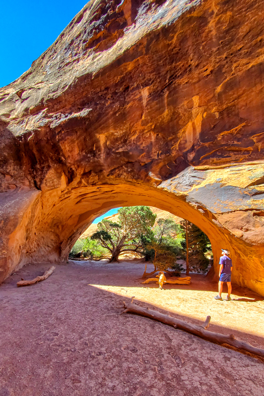 Navajo Arch