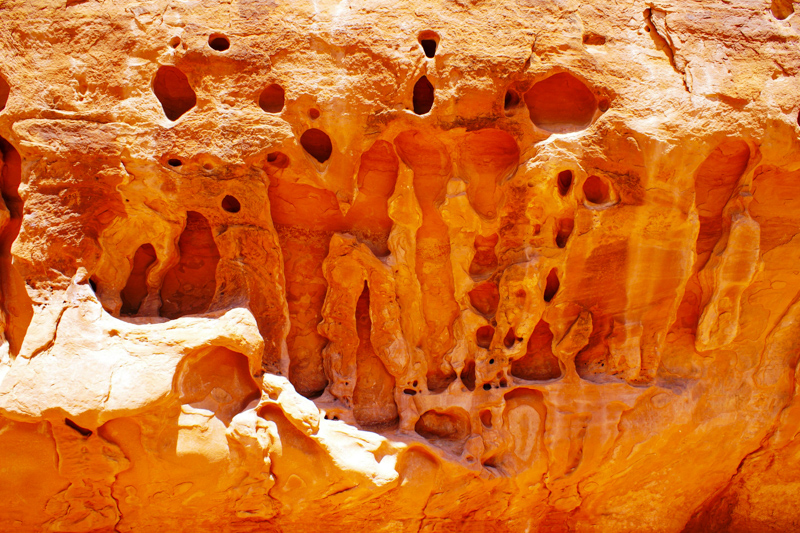 Devils Garden Trail