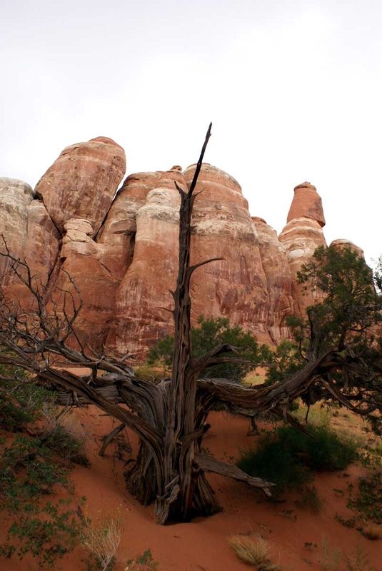 Fiery Furnace