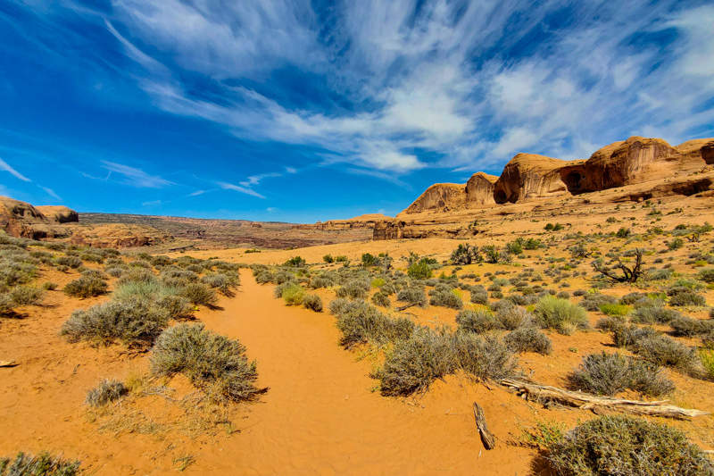 Bowtie & Corona Arches Trail
