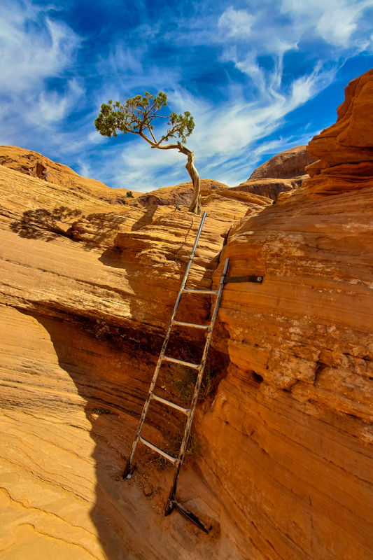 Bowtie & Corona Arches Trail