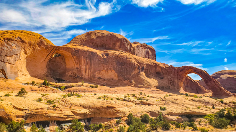 Bowtie & Corona Arches