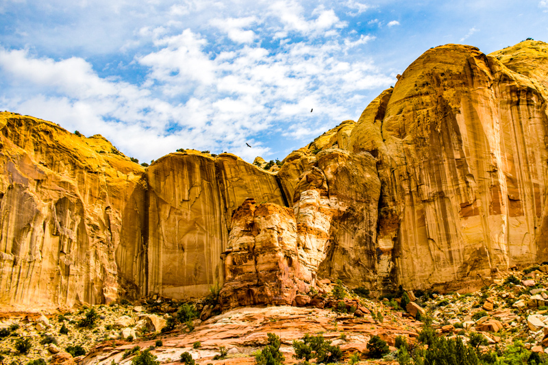 Lower Calf Creek Falls Trail