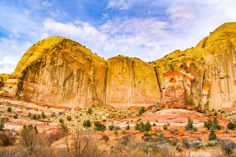 Lower Calf Creek Falls Trail