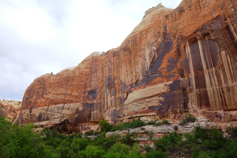 Lower Calf Creek Falls Trail