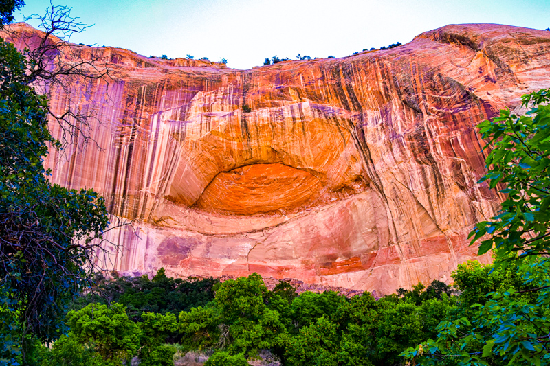 Lower Calf Creek Falls Trail