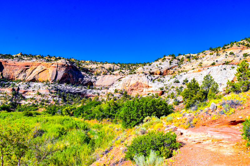 Lower Calf Creek Falls Trail