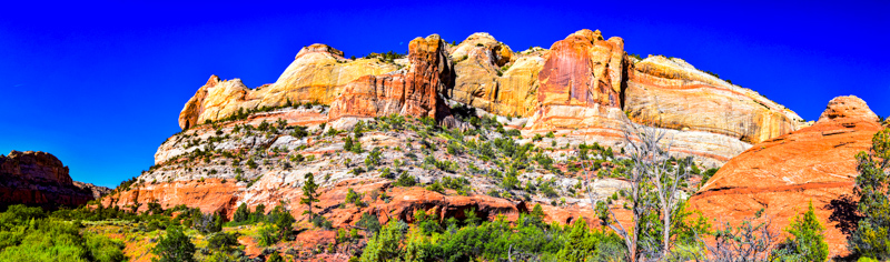 Lower Calf Creek Falls Trail
