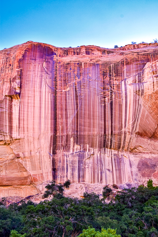 Lower Calf Creek Falls Trail