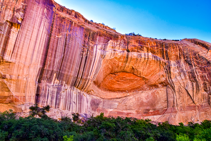 Lower Calf Creek Falls Trail