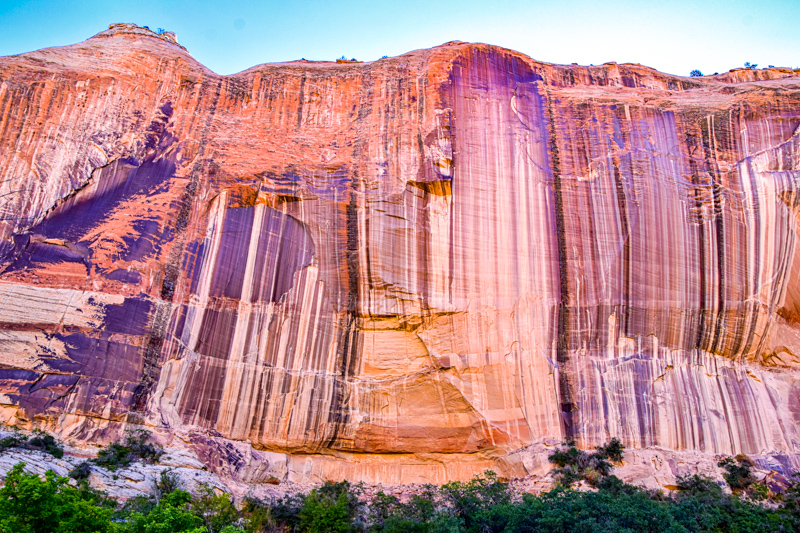 Lower Calf Creek Falls Trail