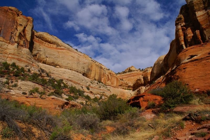 Lower Calf Creek Falls Trail