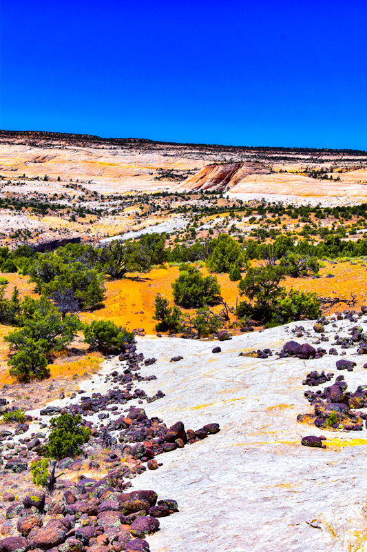 Upper Calf Creek Falls Trail