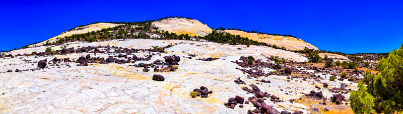 Upper Calf Creek Falls Trail