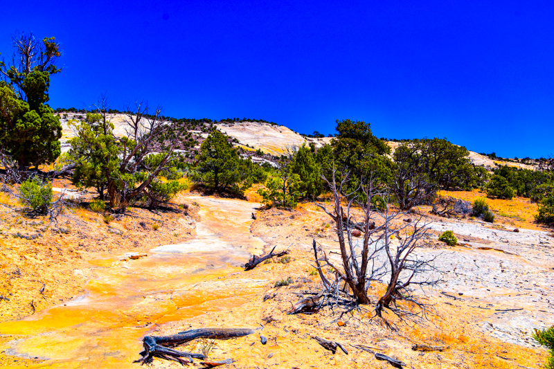 Upper Calf Creek Falls Trail
