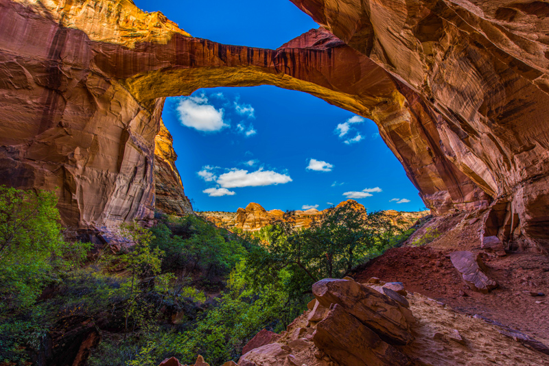 Escalante Natural Bridge