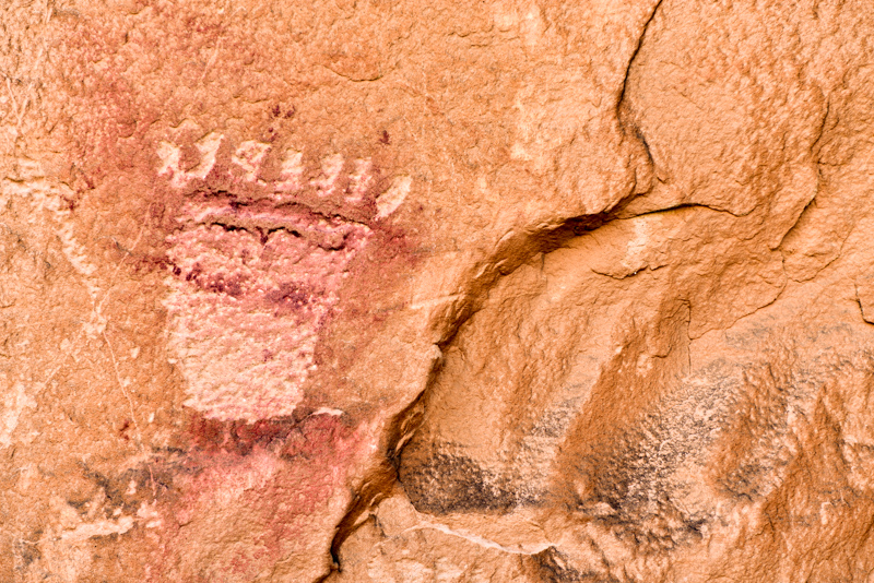 Cliff House Petroglyph Panel