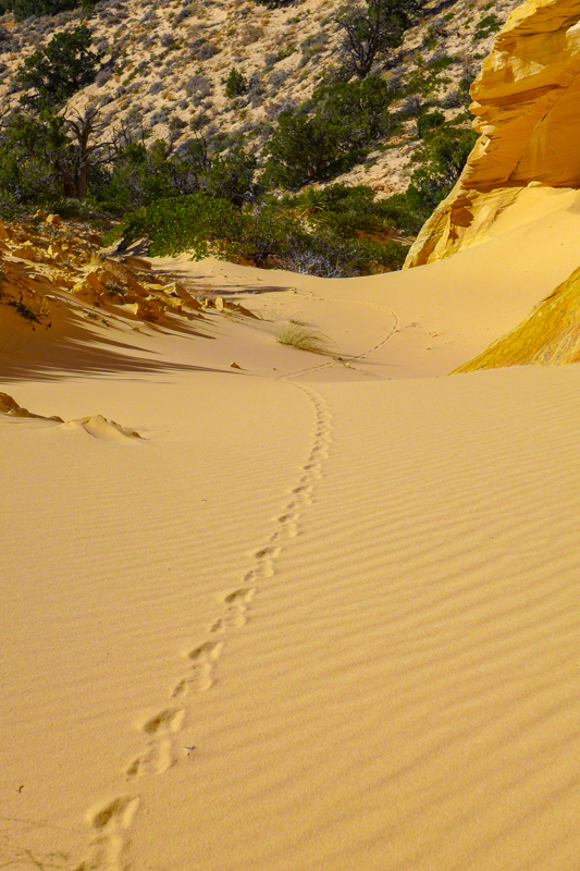 Sentier menant &agrave; Great Chamber