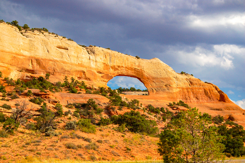Wilson Arch