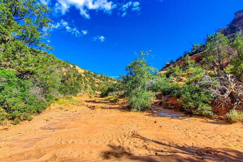South Fork of Mule Canyon