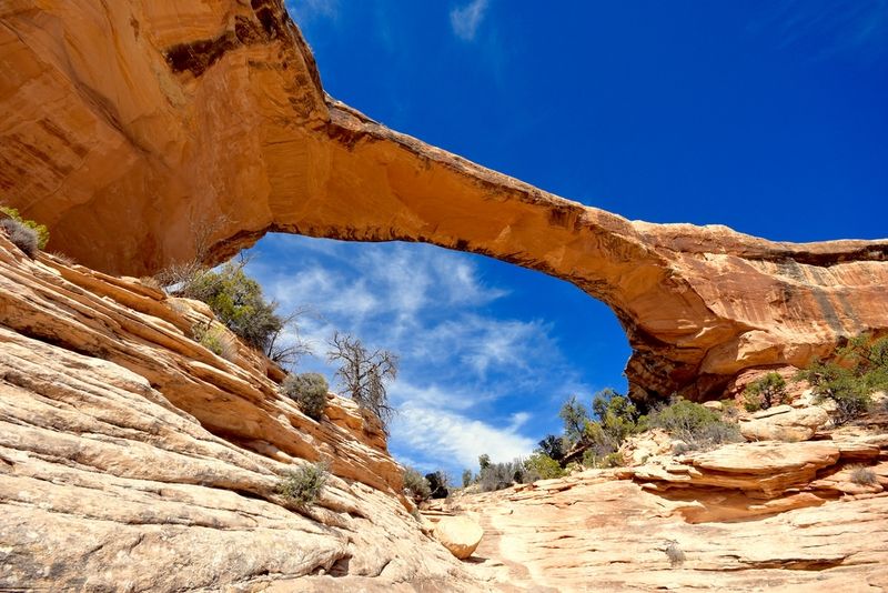 Natural Bridges National Monument