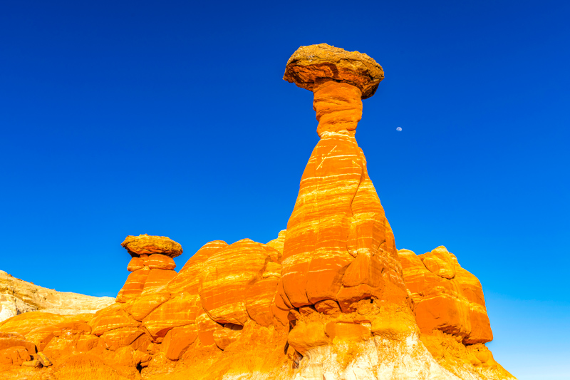 Toadstool Hoodoo
