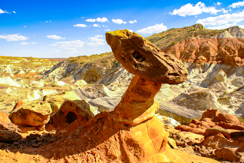 Toadstool Hoodoo