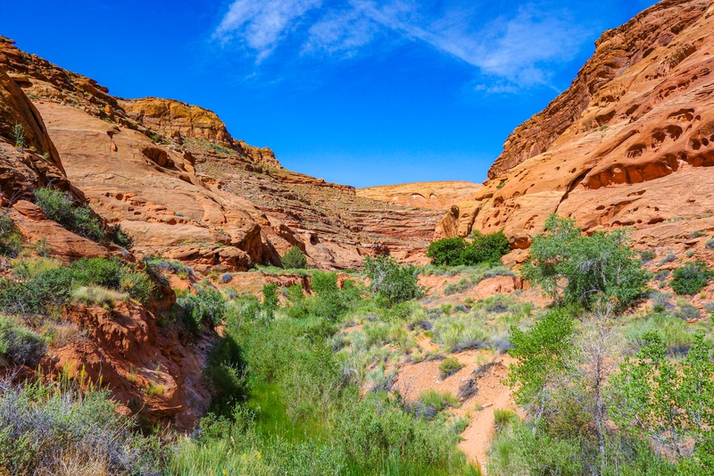 Hog Springs Recreation Area