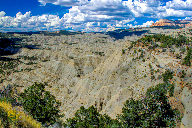 Upper Powell Point Overlook