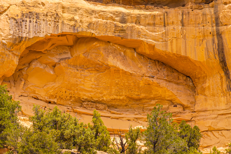 Upper Valley Granaries