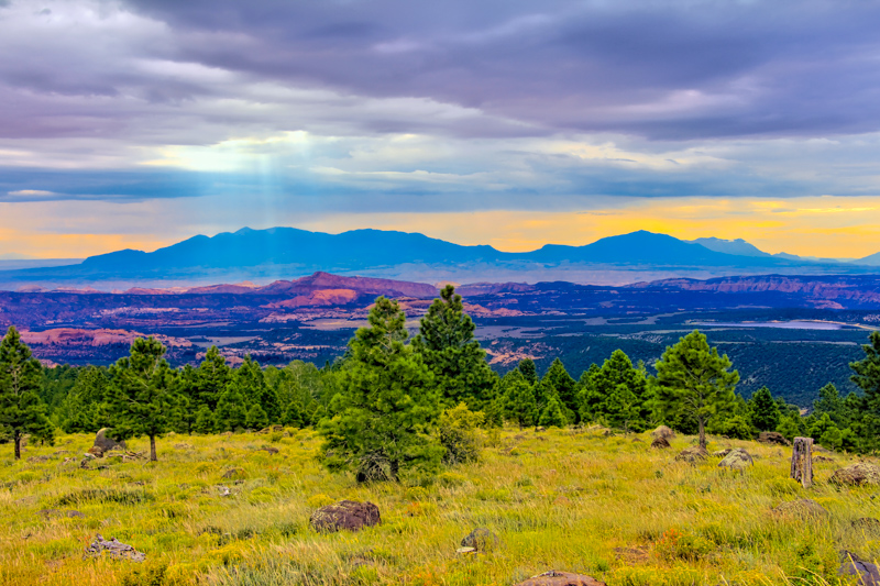 Larb Hollow Overlook