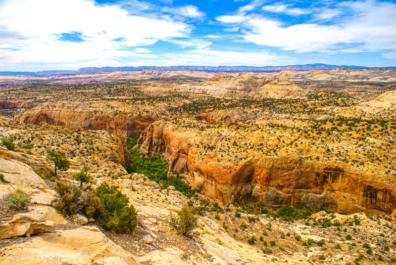 Calf Creek Viewpoint