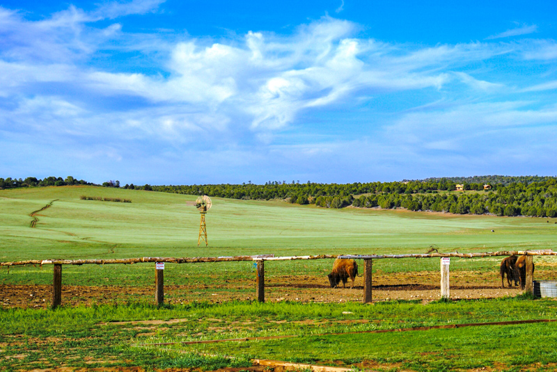 Scenic Byway 12