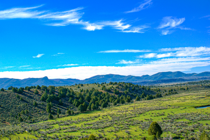 Scenic Byway 12