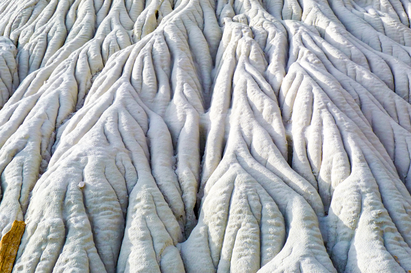 White Ghosts