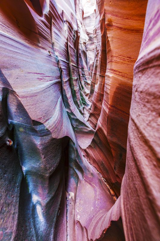 Zebra Slot Canyon